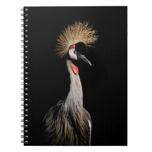 ブラジルの鳥 ノートブック (正面)