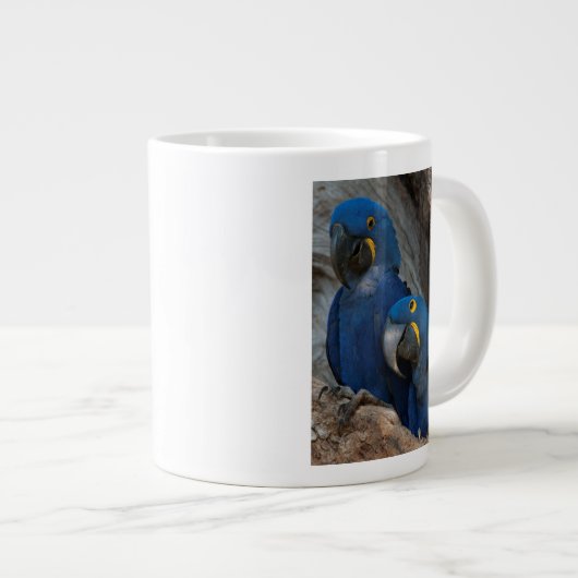 ブラジルの2羽のハシグロインコ ジャンボコーヒーマグカップ (正面右)