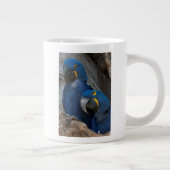ブラジルの2羽のハシグロインコ ジャンボコーヒーマグカップ (右)