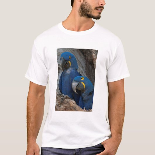 ブラジルの2羽のハシグロインコ Tシャツ (正面)