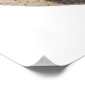 ブラジルサッカー ポスター (角)