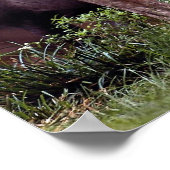 ブラジルタピール ポスター (角)