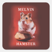 ブラジルナッツのハムスター スクエアシール (正面)