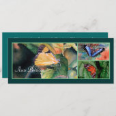 ブラジルバタフライ招待状 招待状 (正面/裏面)