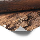 ブラジルピカニャバーガー24x36 ポスター (角)