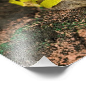 ブラジルホーンカエル， Ceratophrys cornuta, 2 フォトプリント (角)