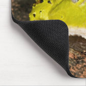 ブラジルホーンカエル， Ceratophrys cornuta, 2 マウスパッド (コーナー)