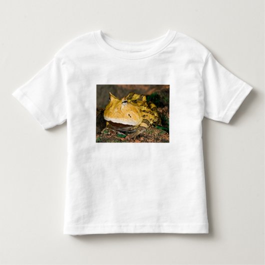 ブラジルホーンカエル, Ceratophrys cornuta, 3 トドラーTシャツ (正面)