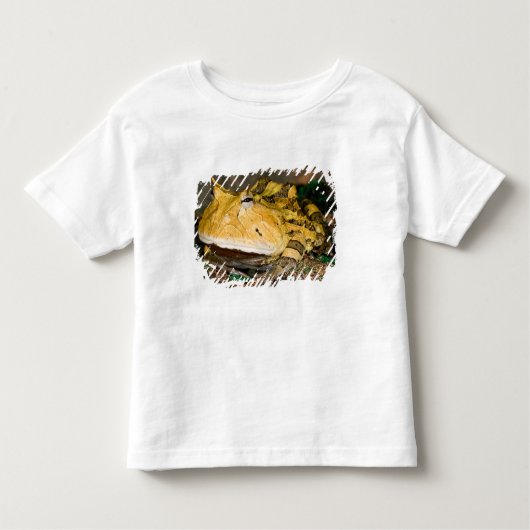ブラジルホーンカエル， Ceratophrys cornuta, 3 トドラーTシャツ (正面)