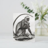 ブラジルモンキー ポストカード (スタンド正面)