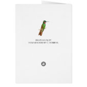 ブラジルルビーハミングバード (裏面)