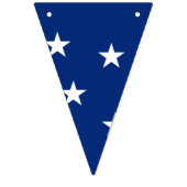 ブラジル国旗の旗 バンティングフラッグ (第3の旗)