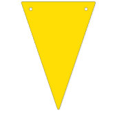 ブラジル国旗の旗 バンティングフラッグ (第2の旗)