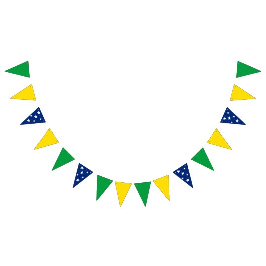 ブラジル国旗の旗 バンティングフラッグ (全)