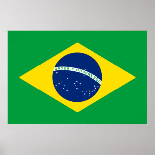 ブラジル国旗プリントバリューポスター紙 ポスター