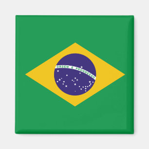 ブラジル国旗 マグネット