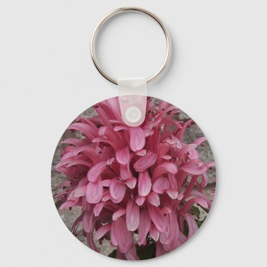 ブラジル産の梅の花キーチェーン キーホルダー (正面)