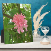 ブラジル産の梅の花 フォトプラーク (側面)