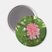 ブラジル産の梅の花 マグネット (正面/裏面)
