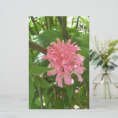 ブラジル産の梅の花 便箋 (スタンド正面)