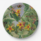 ブラジル登山低木とハミング鳥 ペーパープレート (正面)