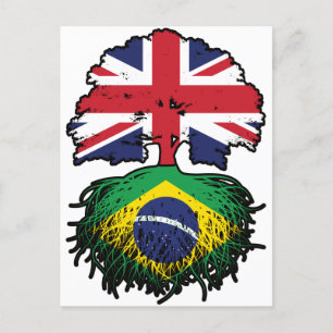 ブラジル英樹ルーツ州旗 ポストカード