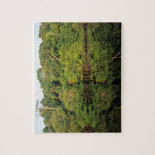 ブラジル、アマゾナス、アナビラナス。熱帯雨林の川 ジグソーパズル (縦)