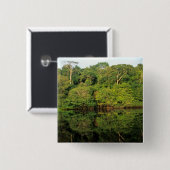 ブラジル、アマゾナス、アナビラナス。熱帯雨林の川 缶バッジ (正面&裏面)