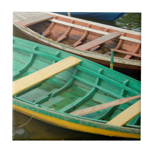 ブラジル、アマゾン、アルタードチャオ2 タイル (正面)