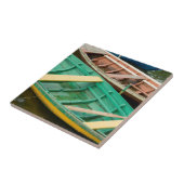 ブラジル、アマゾン、アルタードチャオ2 タイル (側面)