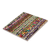 ブラジル, アマゾン, マナウス. ブラジルの典型 タイル (側面)