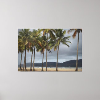 ブラジル，サントス，ゴンザガビーチのヤシの木 キャンバスプリント