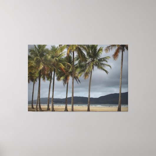ブラジル，サントス，ゴンザガビーチのヤシの木 キャンバスプリント (正面)