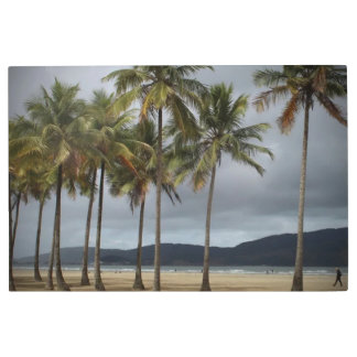 ブラジル，サントス，ゴンザガビーチのヤシの木 メタルプリント