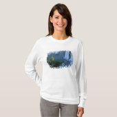 ブラジル サンパウロ パラナ州 イグアス国立公園 イグアスの滝 Tシャツ (正面フル)