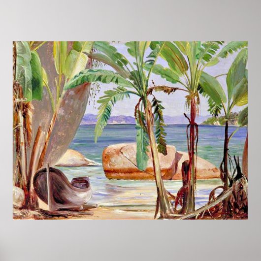 ブラジル・パケタのバナナと岩 ポスター (正面)