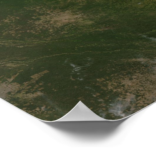 ブラジル ポスター (角)