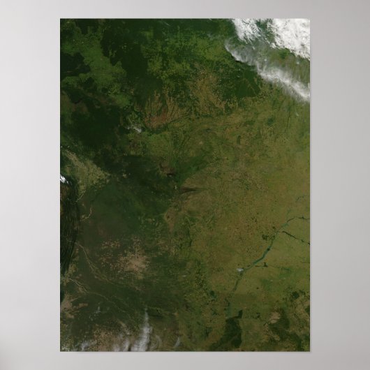 ブラジル ポスター (正面)