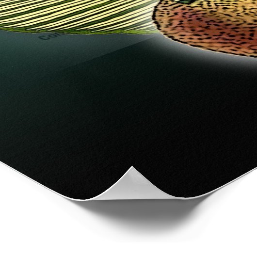 ブラジル ポスター (角)