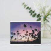 ブラジル ポストカード (スタンド正面)