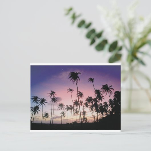 ブラジル ポストカード (スタンド正面)