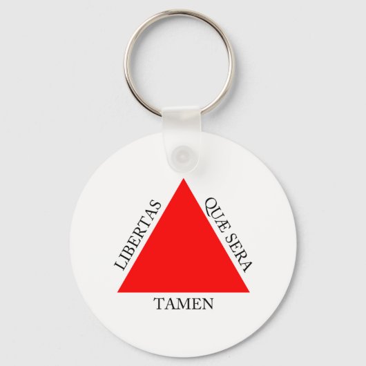 ブラジル・ミナスジェレ高品質ス国旗 キーホルダー (正面)