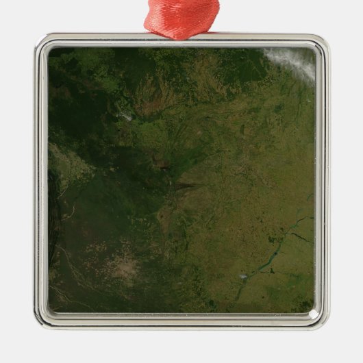 ブラジル メタルオーナメント (正面)