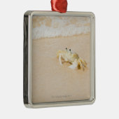 ブラジル、リオデジャネイロ、Buziosのカニ メタルオーナメント (右)