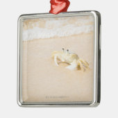 ブラジル、リオデジャネイロ、Buziosのカニ メタルオーナメント (左)