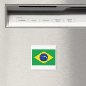ブラジルBR マグネット (インサイチュ (食洗機))