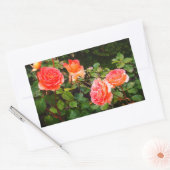 ブラスバンドバラ#1矩形ステッカー 長方形シール (封筒)