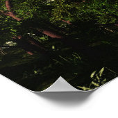 ブラチオサウルスプリント ポスター (角)