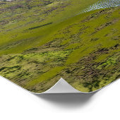 ブラチオサウルス恐竜の水中 – 3D 描写 ポスター (角)