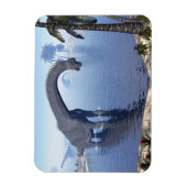 ブラチオサウルス恐竜の水中 – 3D 描写 マグネット (縦)
